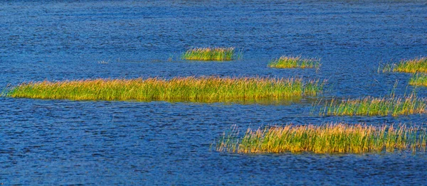 Vista Panoramica Naturale Con Calmo Specchio Acqua Nel Parco Nazionale — Foto Stock