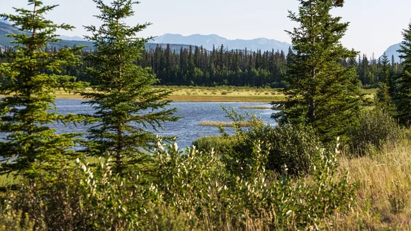 Talbot Gölü ve manzaralı dağlarla doğal manzara, Alberta, Kanada