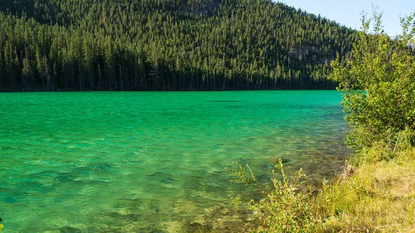 Bellissimo Paesaggio Con Montagne Fiume Nel Parco Nazionale Banff Alberta — Foto Stock