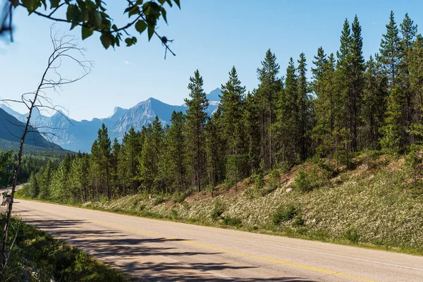 Schöne Naturlandschaft Banff Nationalpark Kanada — Stockfoto