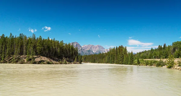 Természetes Táj Talbot Gyönyörű Hegyek Alberta Kanada — Stock Fotó