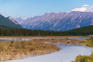 Talbot Gölü ve manzaralı dağlarla doğal manzara, Alberta, Kanada