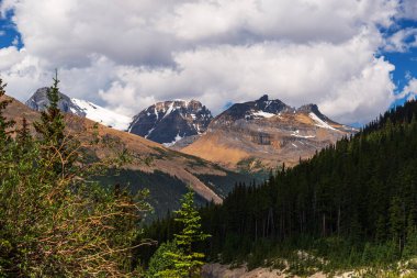 Jasper Ulusal Parkı, Alberta, Kanada 'daki güzel dağ manzarası.