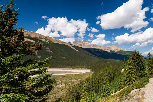 Talbot Gölü ve güzel dağlarla doğal manzara, Alberta, Kanada