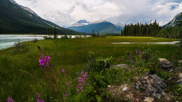 Beautiful Landscape Mountains River Banff National Park Alberta Canada — Stock Photo, Image