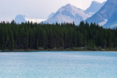 Banff Ulusal Parkı, Alberta, Kanada 'da zümrüt gölü ve manzaralı dağlarla güzel doğal manzara.