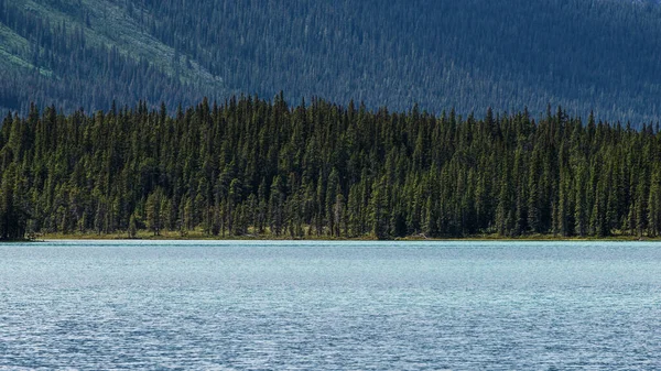 Talbot Lake Schilderachtige Bergen Alberta Canada — Stockfoto