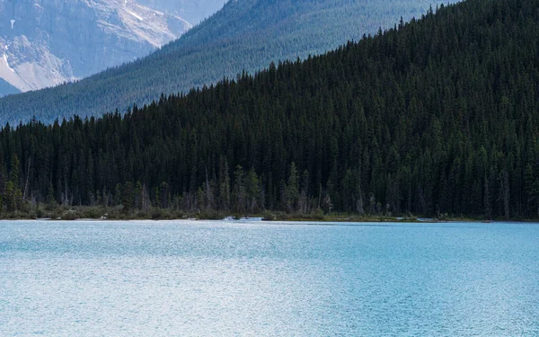 Talbot Gölü ve manzaralı dağlar, Alberta, Kanada