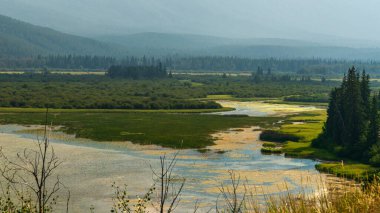 Talbot Gölü ve manzaralı dağlar, Alberta, Kanada