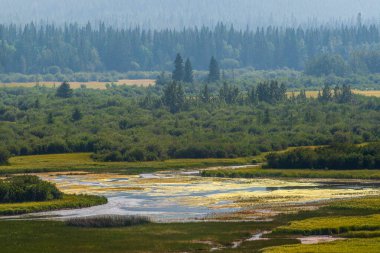 Talbot Gölü ve güzel dağlarla doğal manzara, Alberta, Kanada