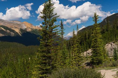 Jasper Ulusal Parkı, Alberta, Kanada 'da manzaralı dağlarla dolu güzel bir manzara.