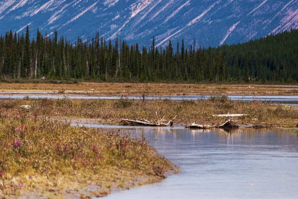 Мальовничий Краєвид Озером Горами Банф Національному Парку Альберта Канада — стокове фото