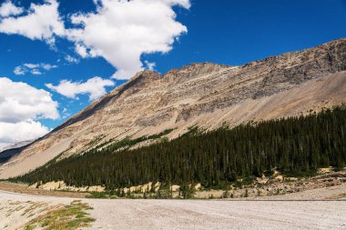 Jasper Ulusal Parkı, Alberta, Kanada 'da manzaralı dağlarla dolu güzel bir manzara.