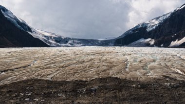 Jasper Ulusal Parkı, Alberta, Kanada 'da manzaralı dağlarla dolu güzel bir manzara.