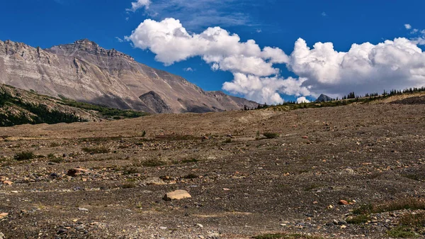 Jasper Ulusal Parkı Alberta Kanada Manzaralı Dağlarla Dolu Güzel Bir — Stok fotoğraf