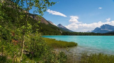 Banff Ulusal Parkı, Alberta, Kanada 'da dağları ve nehri olan güzel bir manzara.