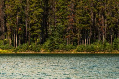 Banff Ulusal Parkı, Kanada 'da Güzel Doğal Manzara