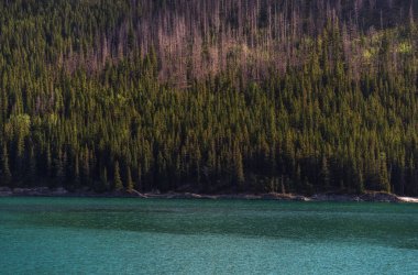İki Jack Gölü ve manzaralı dağlar, Alberta, Kanada