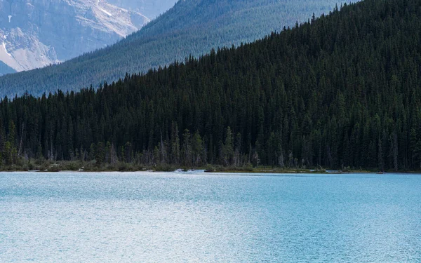 Majestosa Paisagem Com Montanhas Rio Alberta Canadá — Fotografia de Stock