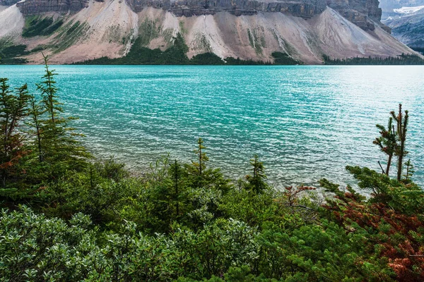 Paysage Naturel Avec Lac Talbot Belles Montagnes Alberta Canada — Photo