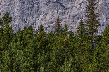 Banff Ulusal Parkı 'nda Doğal Manzara, Kanada