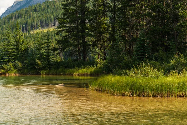 İki Jack Gölü ve manzaralı dağlar, Alberta, Kanada