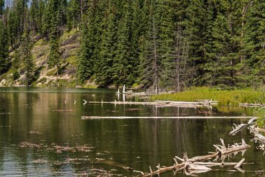 İki Jack Gölü ve manzaralı dağlar, Alberta, Kanada