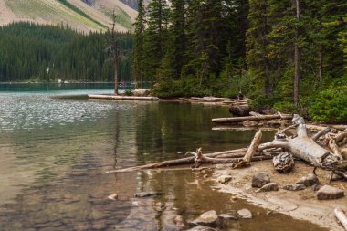 Dağları ve nehri olan görkemli manzara, alberta, Kanada