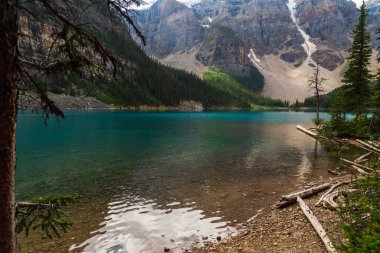 Dağları ve nehri olan görkemli manzara, alberta, Kanada