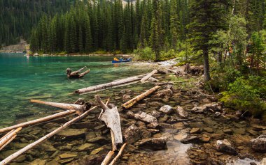 Alberta, Kanada 'da güzel doğal bir manzara.