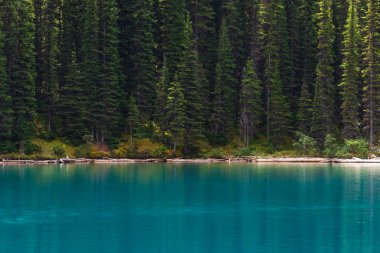 Banff Ulusal Parkı 'nda Doğal Manzara, Kanada