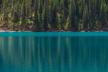 Banff Ulusal Parkı, Alberta, Kanada 'da zümrüt gölü ve manzaralı dağlarla güzel doğal manzara.