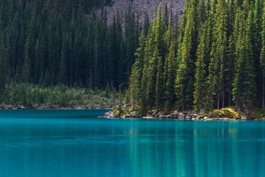 Banff Ulusal Parkı, Alberta, Kanada 'da göl ve dağlarla manzaralı bir yer.