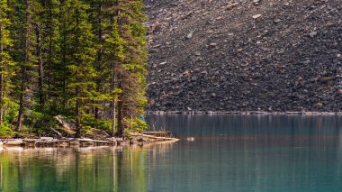 Dağları ve nehri olan görkemli manzara, alberta, Kanada
