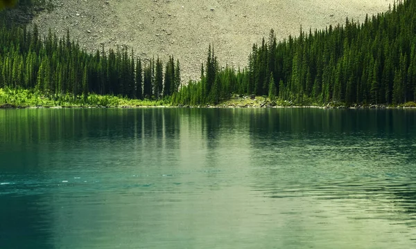 Majestátní Krajina Horami Řekou Alberta Kanada — Stock fotografie