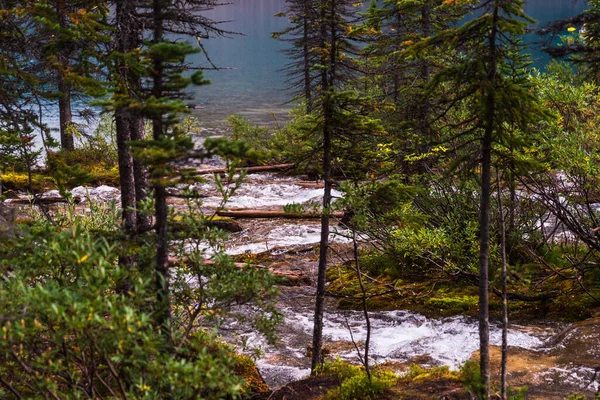Bellissimo Scenario Naturale Nel Banff National Park Canada — Foto Stock