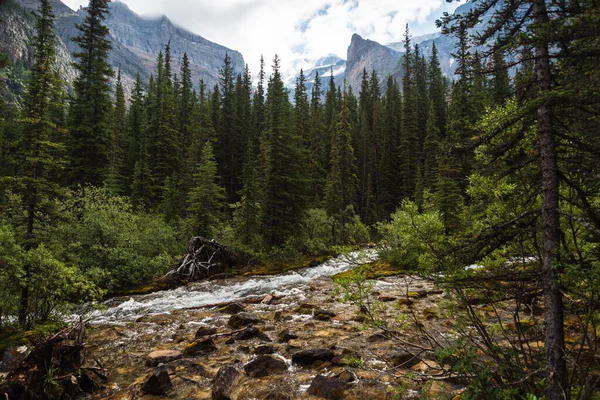 Hermoso Paisaje Con Montañas Río Parque Nacional Banff Alberta Canada — Foto de Stock