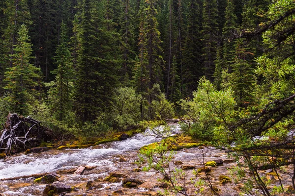 Maestoso Scenario Naturale Con Fiume Montagna Alberta Canada — Foto Stock