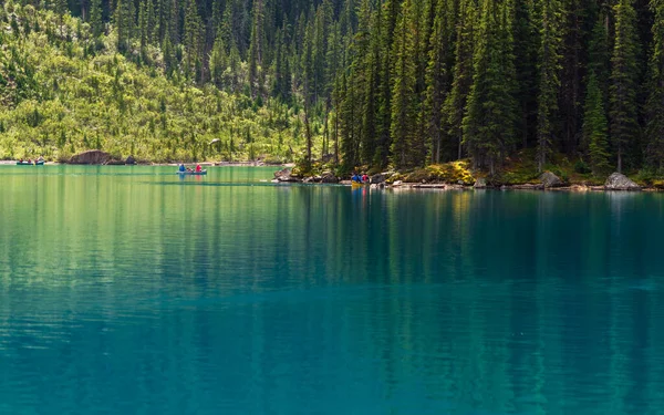 Vacker Naturscen Alberta Kanada — Stockfoto
