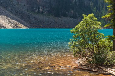 Banff Ulusal Parkı, Alberta, Kanada 'da zümrüt gölü ve manzaralı dağlarla güzel doğal manzara.