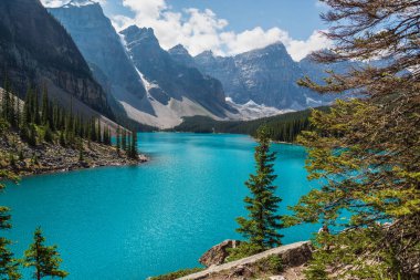 Alberta, Kanada 'da zümrüt gölü ile görkemli doğal manzara.