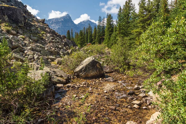 Paesaggio Maestoso Con Montagne Panoramiche Alberta Canada — Foto Stock