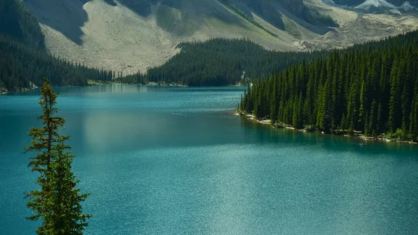 Prachtig Berglandschap Banff Nationaal Park Alberta Canada — Stockfoto