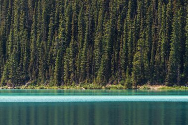Dağları ve nehri olan görkemli manzara, alberta, Kanada