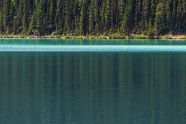Banff Ulusal Parkı, Alberta, Kanada 'da zümrüt gölü ve manzaralı dağlarla güzel doğal manzara.