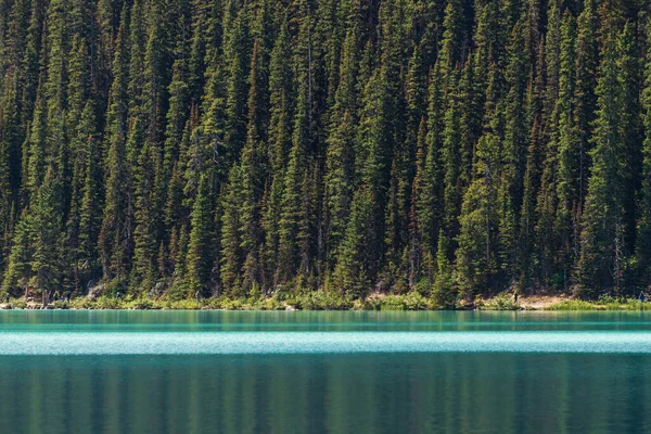 Fenséges Táj Hegyekkel Folyóval Alberta Kanada — Stock Fotó