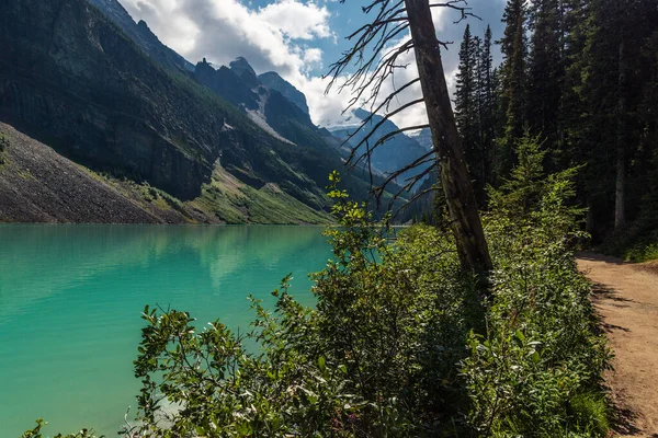 캐나다 앨버타주의 공원에 에메랄드 호수와 경치좋은 산들로 이루어진 아름다운 — 스톡 사진