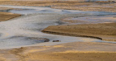 Alberta, Kanada 'da su kütlesiyle görkemli doğal manzara