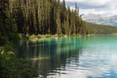 Banff Ulusal Parkı, Alberta, Kanada 'daki zümrüt gölü ve manzaralı dağlarla güzel bir manzara.