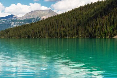 Banff Ulusal Parkı 'nda Doğal Manzara, Kanada